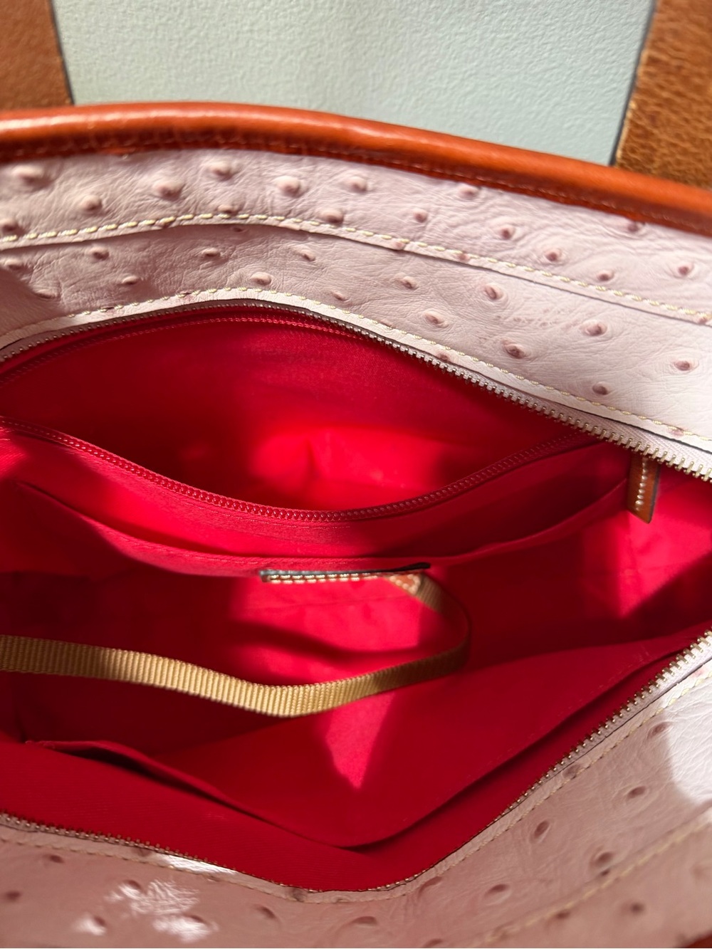Dooney & Bourke Blush Ostrich-Embossed Tote with Brown Trim and Strap - Picture 8 of 12